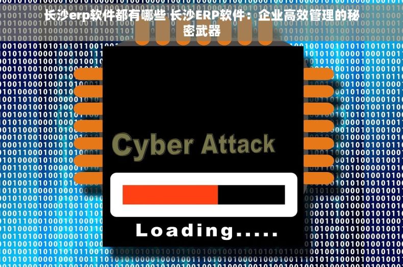 长沙erp软件都有哪些 长沙ERP软件：企业高效管理的秘密武器