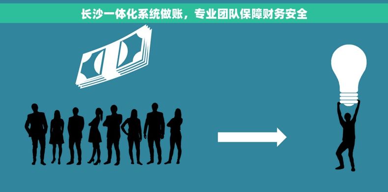 长沙一体化系统做账，专业团队保障财务安全