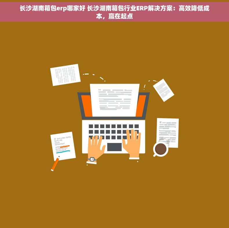 长沙湖南箱包erp哪家好 长沙湖南箱包行业ERP解决方案：高效降低成本，赢在起点