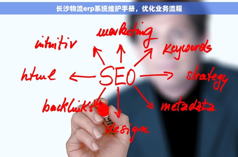 长沙物流erp系统维护手册，优化业务流程