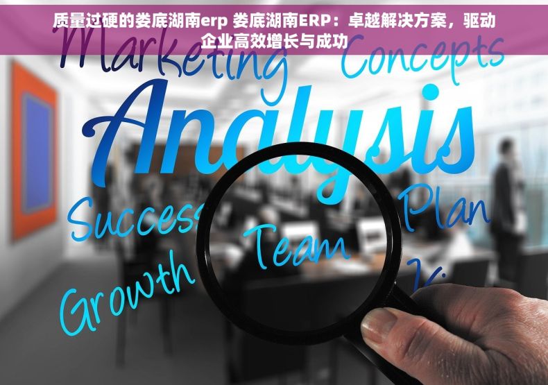 质量过硬的娄底湖南erp 娄底湖南ERP：卓越解决方案，驱动企业高效增长与成功