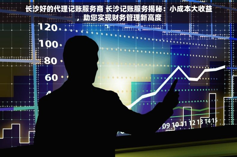 长沙好的代理记账服务商 长沙记账服务揭秘：小成本大收益，助您实现财务管理新高度