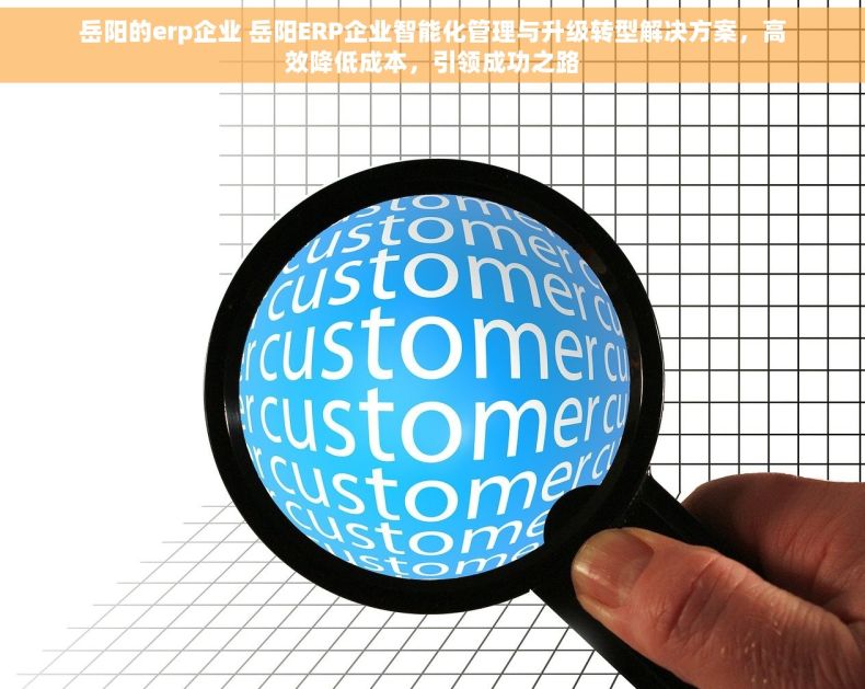 岳阳的erp企业 岳阳ERP企业智能化管理与升级转型解决方案，高效降低成本，引领成功之路