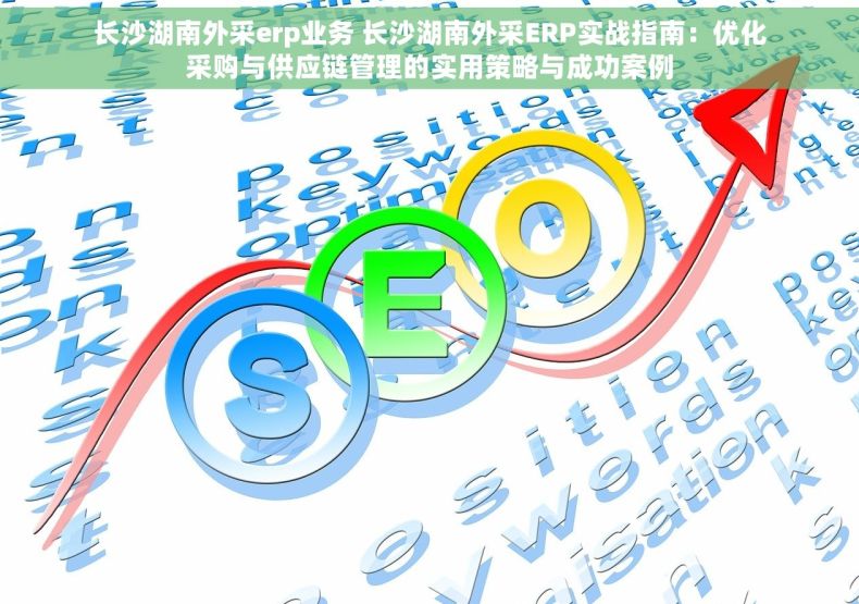 长沙湖南外采erp业务 长沙湖南外采ERP实战指南：优化采购与供应链管理的实用策略与成功案例