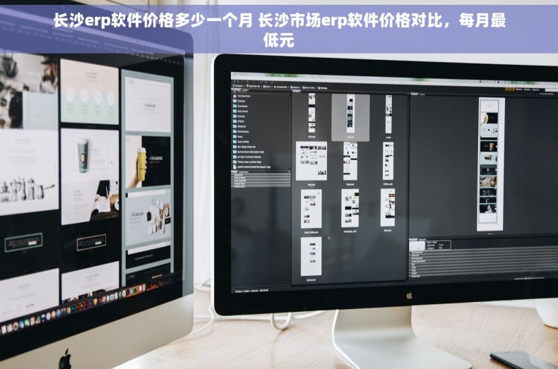 长沙erp软件价格多少一个月 长沙市场erp软件价格对比，每月最低元
