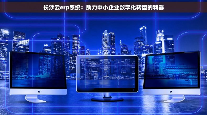 长沙云erp系统：助力中小企业数字化转型的利器