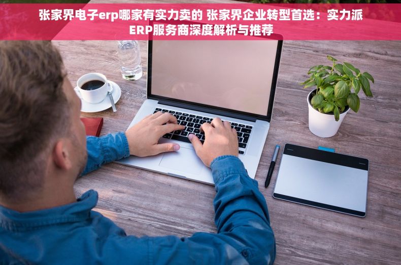 张家界电子erp哪家有实力卖的 张家界企业转型首选：实力派ERP服务商深度解析与推荐