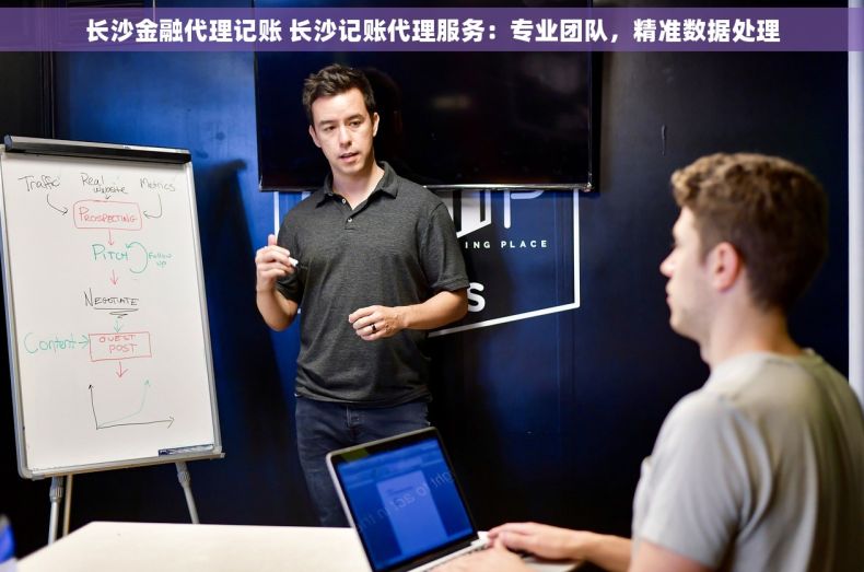 长沙金融代理记账 长沙记账代理服务：专业团队，精准数据处理