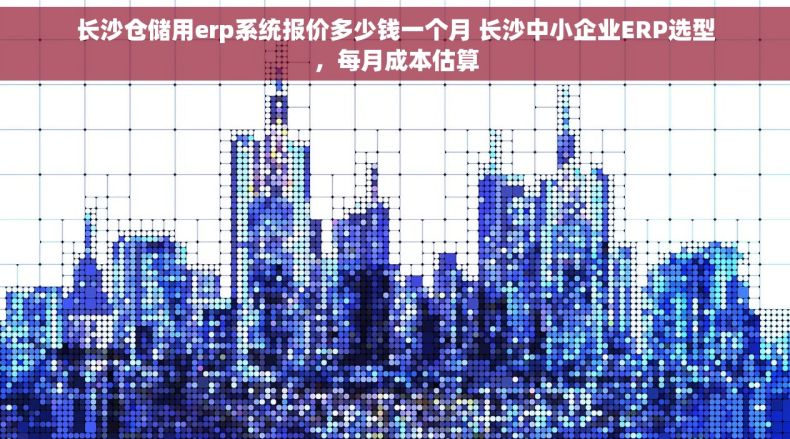 长沙仓储用erp系统报价多少钱一个月 长沙中小企业ERP选型，每月成本估算