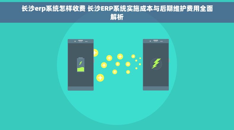 长沙erp系统怎样收费 长沙ERP系统实施成本与后期维护费用全面解析