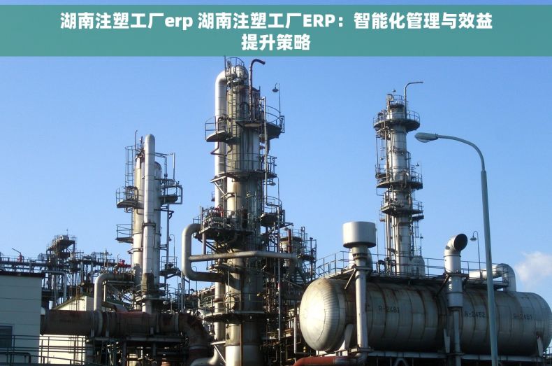 湖南注塑工厂erp 湖南注塑工厂ERP：智能化管理与效益提升策略