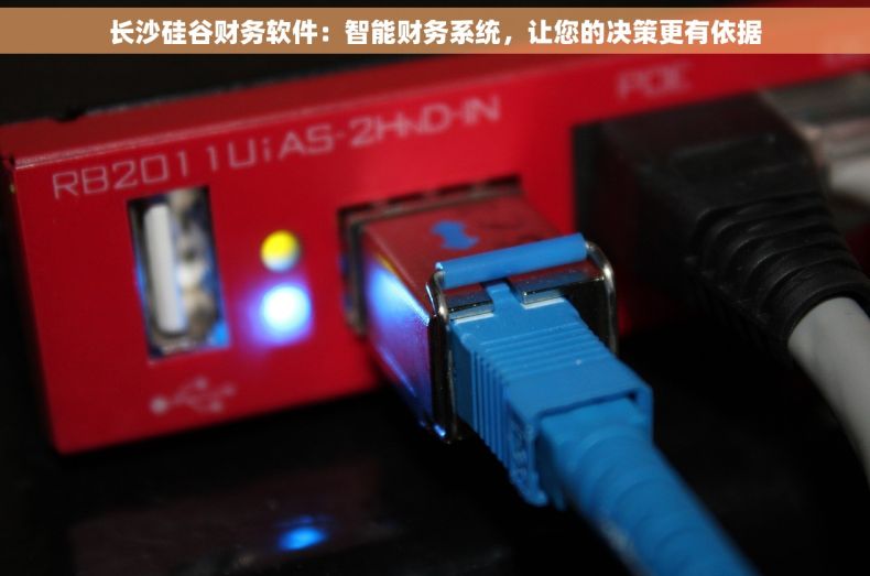 长沙硅谷财务软件：智能财务系统，让您的决策更有依据