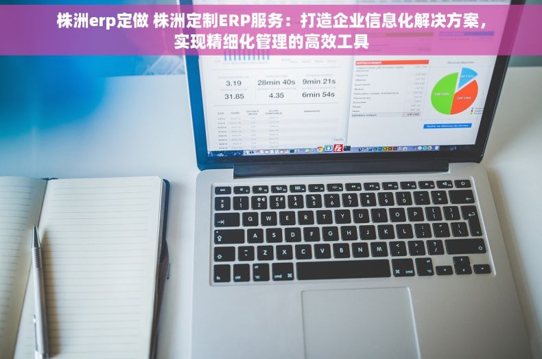 株洲erp定做 株洲定制ERP服务：打造企业信息化解决方案，实现精细化管理的高效工具