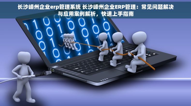 长沙嵊州企业erp管理系统 长沙嵊州企业ERP管理：常见问题解决与应用案例解析，快速上手指南