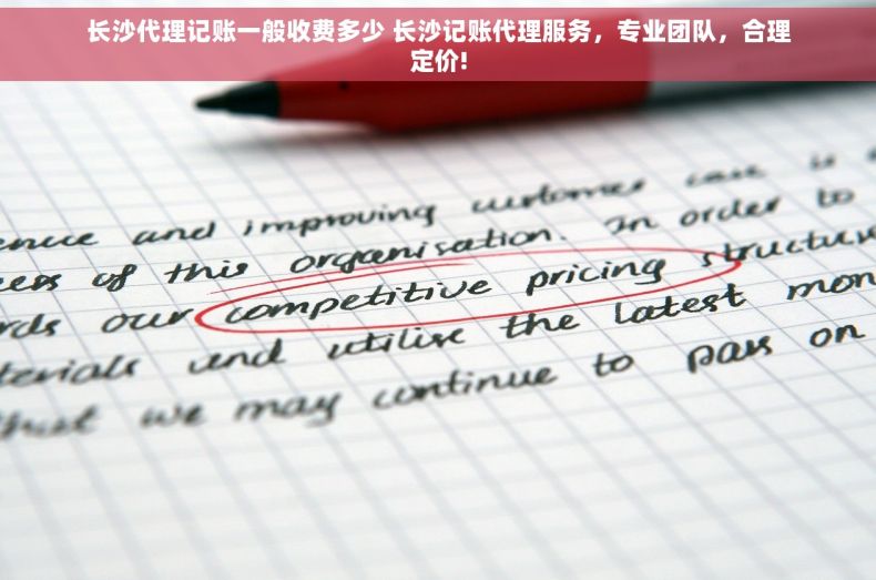 长沙代理记账一般收费多少 长沙记账代理服务，专业团队，合理定价!