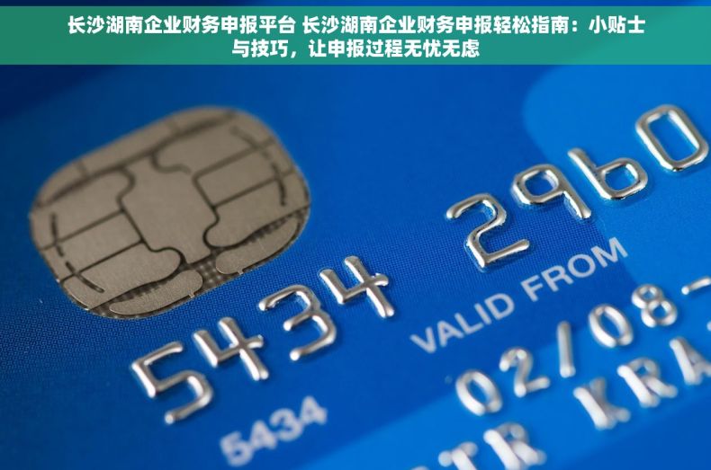长沙湖南企业财务申报平台 长沙湖南企业财务申报轻松指南：小贴士与技巧，让申报过程无忧无虑