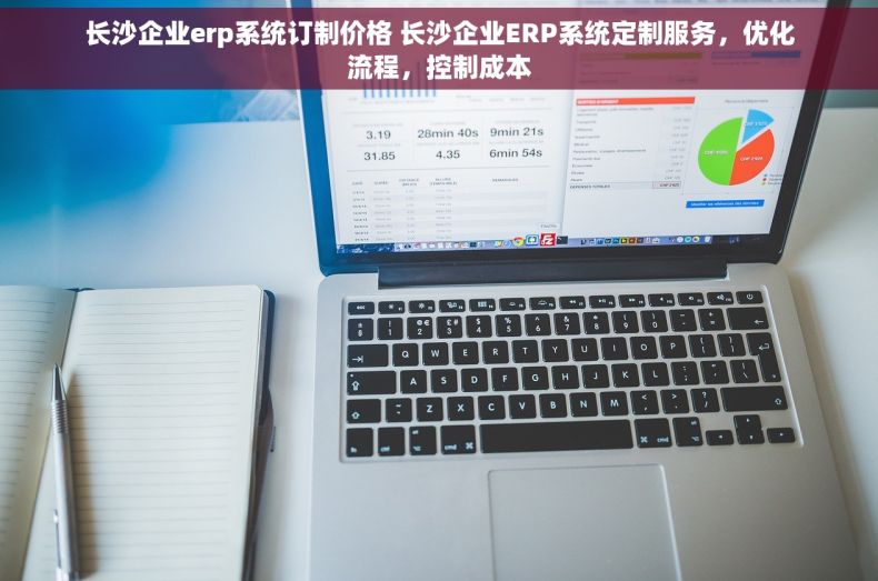 长沙企业erp系统订制价格 长沙企业ERP系统定制服务，优化流程，控制成本
