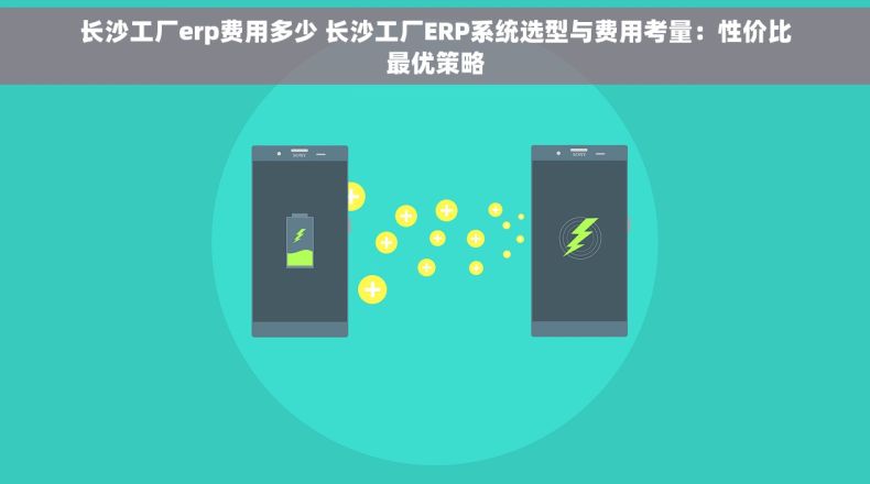 长沙工厂erp费用多少 长沙工厂ERP系统选型与费用考量：性价比最优策略