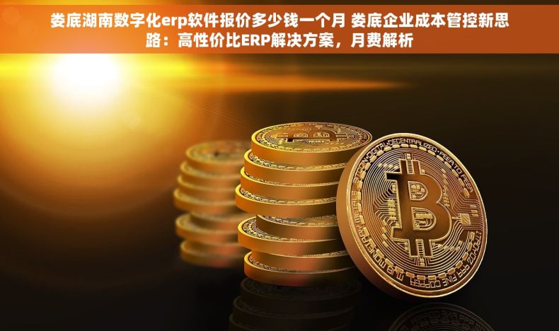 娄底湖南数字化erp软件报价多少钱一个月 娄底企业成本管控新思路：高性价比ERP解决方案，月费解析