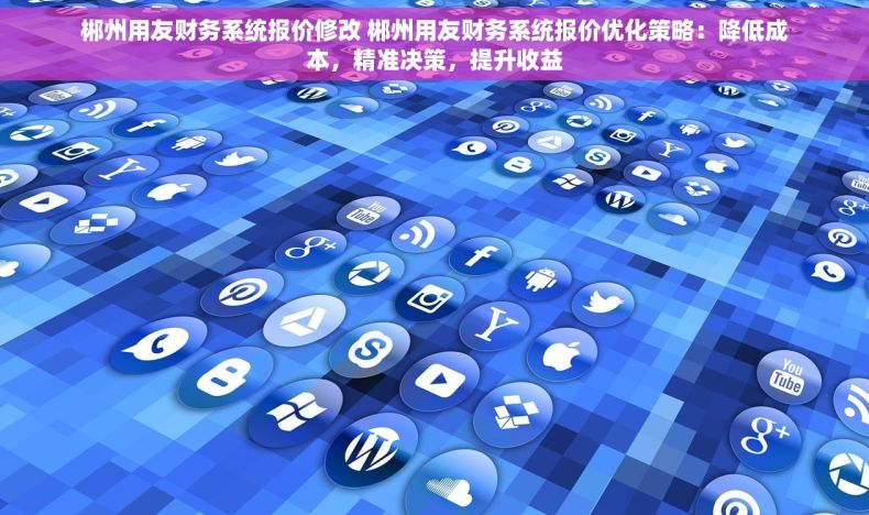 郴州用友财务系统报价修改 郴州用友财务系统报价优化策略：降低成本，精准决策，提升收益