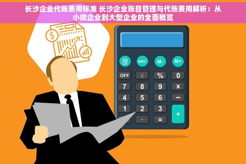 长沙企业代账费用标准 长沙企业账目管理与代账费用解析：从小微企业到大型企业的全面概览