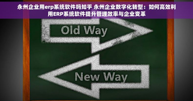 永州企业用erp系统软件吗知乎 永州企业数字化转型：如何高效利用ERP系统软件提升管理效率与企业变革