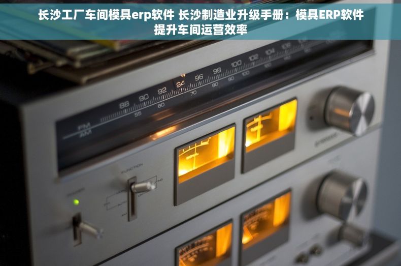 长沙工厂车间模具erp软件 长沙制造业升级手册：模具ERP软件提升车间运营效率