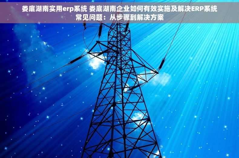 娄底湖南实用erp系统 娄底湖南企业如何有效实施及解决ERP系统常见问题：从步骤到解决方案