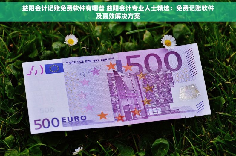 益阳会计记账免费软件有哪些 益阳会计专业人士精选：免费记账软件及高效解决方案