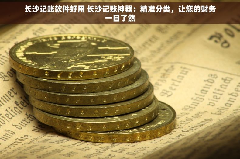 长沙记账软件好用 长沙记账神器：精准分类，让您的财务一目了然