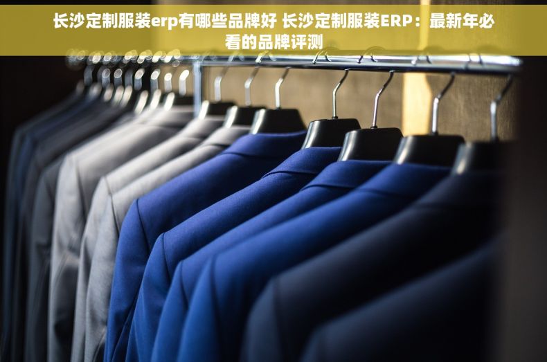 长沙定制服装erp有哪些品牌好 长沙定制服装ERP：最新年必看的品牌评测