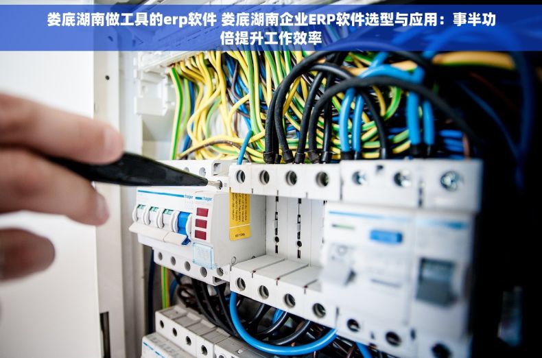 娄底湖南做工具的erp软件 娄底湖南企业ERP软件选型与应用：事半功倍提升工作效率