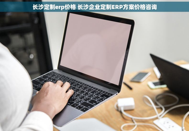 长沙定制erp价格 长沙企业定制ERP方案价格咨询