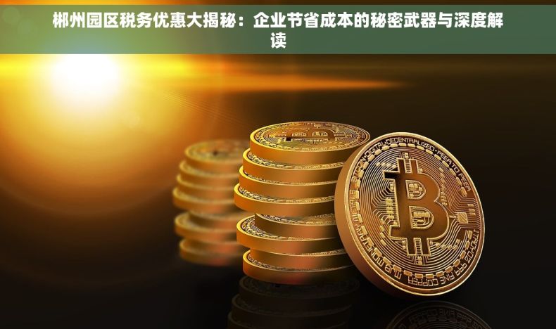 郴州园区税务优惠大揭秘：企业节省成本的秘密武器与深度解读