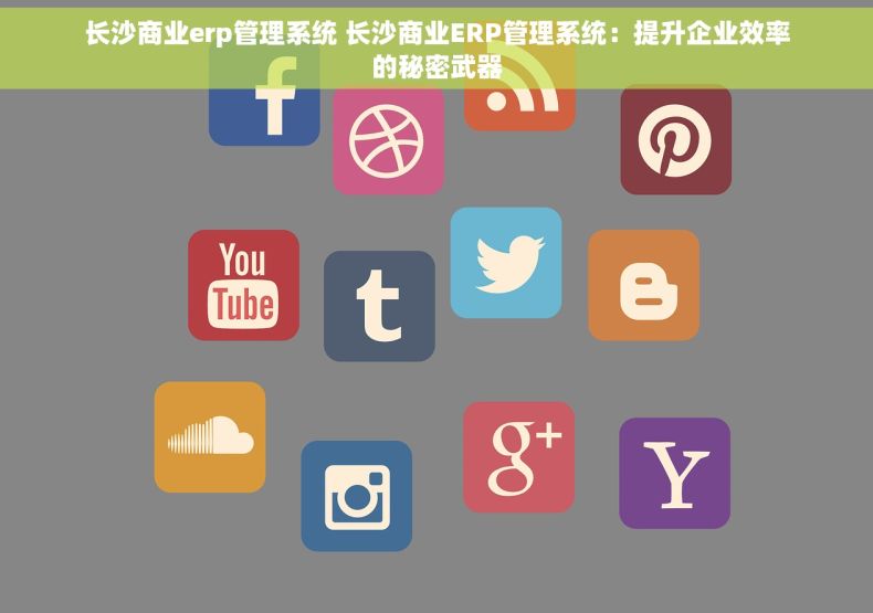长沙商业erp管理系统 长沙商业ERP管理系统：提升企业效率的秘密武器