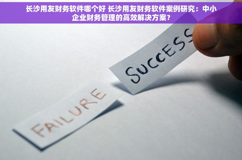 长沙用友财务软件哪个好 长沙用友财务软件案例研究：中小企业财务管理的高效解决方案？