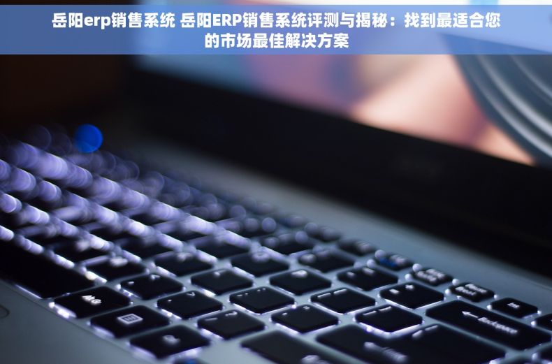 岳阳erp销售系统 岳阳ERP销售系统评测与揭秘：找到最适合您的市场最佳解决方案