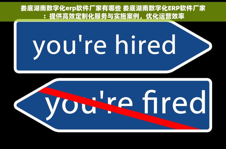 娄底湖南数字化erp软件厂家有哪些 娄底湖南数字化ERP软件厂家：提供高效定制化服务与实施案例，优化运营效率