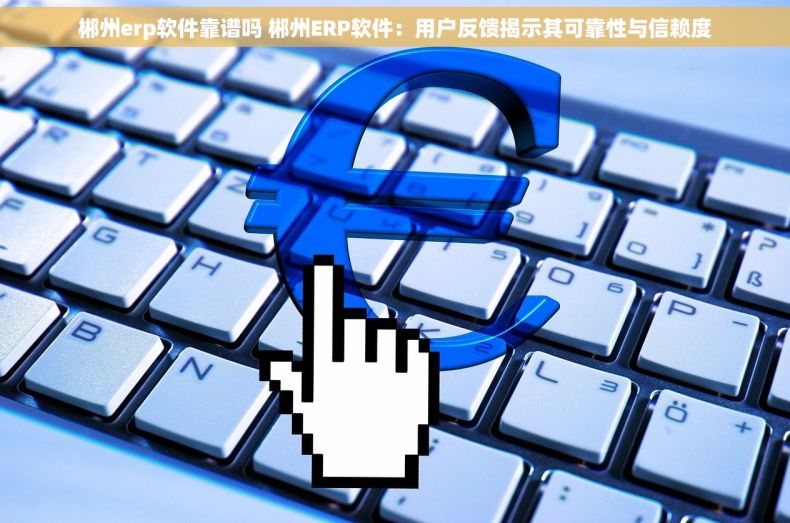 郴州erp软件靠谱吗 郴州ERP软件：用户反馈揭示其可靠性与信赖度