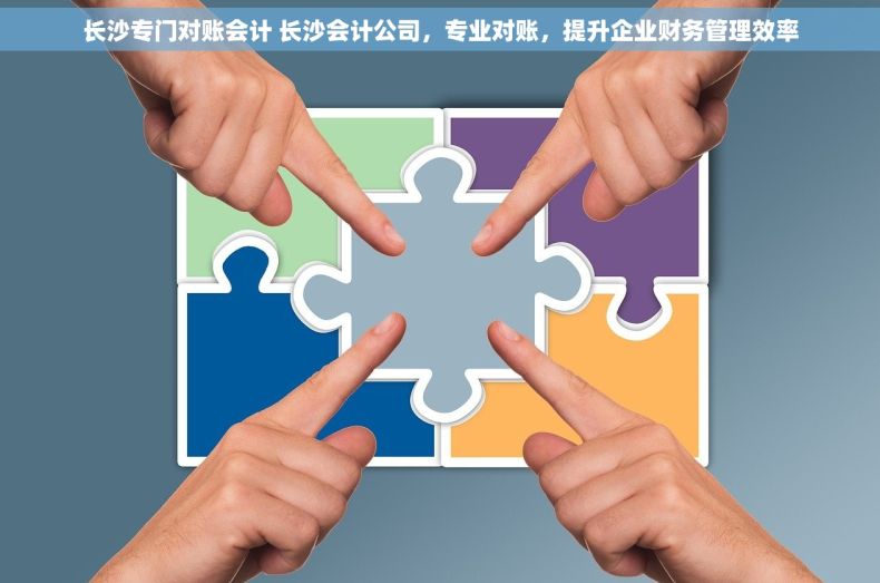 长沙专门对账会计 长沙会计公司，专业对账，提升企业财务管理效率
