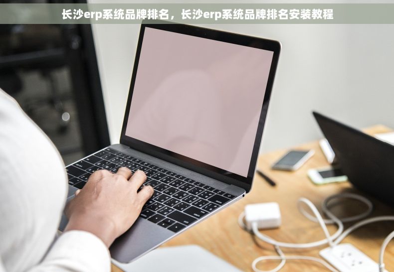 长沙erp系统品牌排名，长沙erp系统品牌排名安装教程
