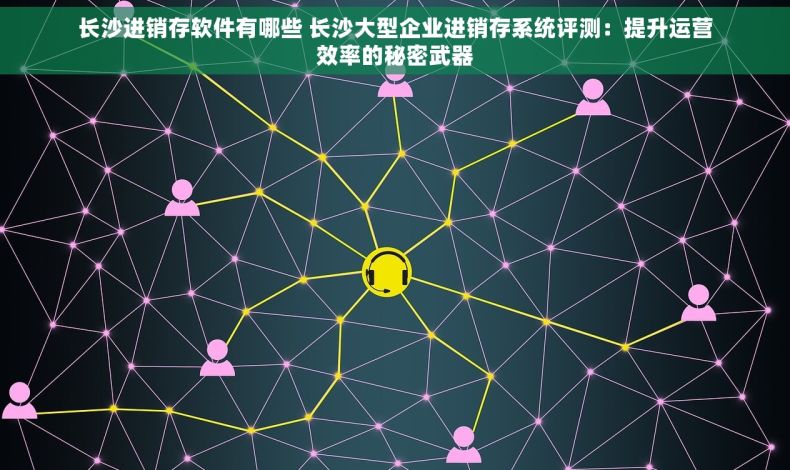 长沙进销存软件有哪些 长沙大型企业进销存系统评测：提升运营效率的秘密武器