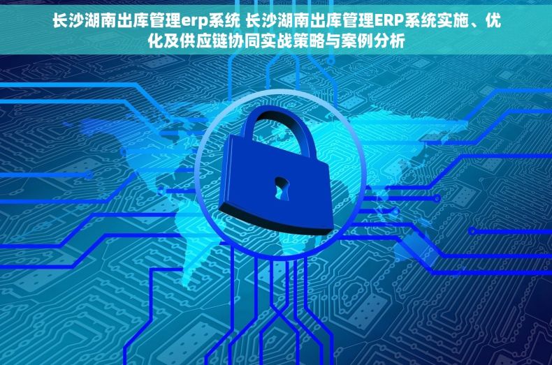 长沙湖南出库管理erp系统 长沙湖南出库管理ERP系统实施、优化及供应链协同实战策略与案例分析