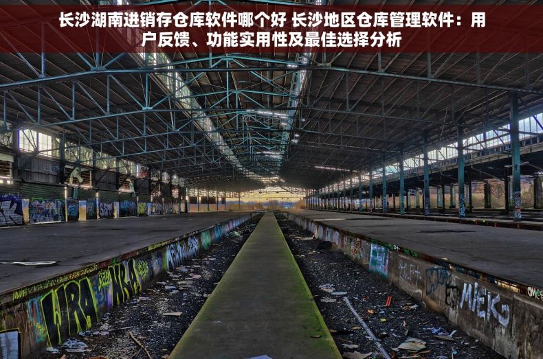 长沙湖南进销存仓库软件哪个好 长沙地区仓库管理软件：用户反馈、功能实用性及最佳选择分析