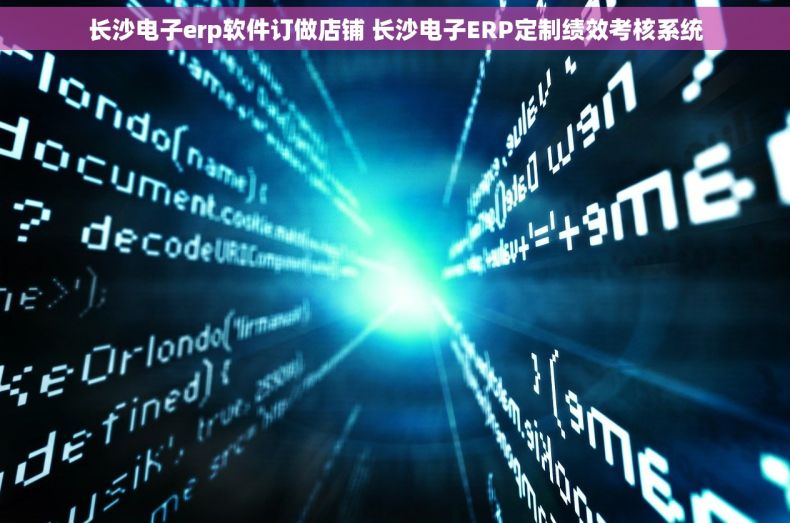 长沙电子erp软件订做店铺 长沙电子ERP定制绩效考核系统
