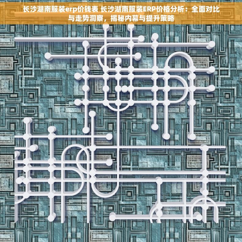 长沙湖南服装erp价钱表 长沙湖南服装ERP价格分析：全面对比与走势洞察，揭秘内幕与提升策略