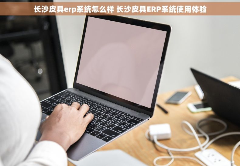长沙皮具erp系统怎么样 长沙皮具ERP系统使用体验