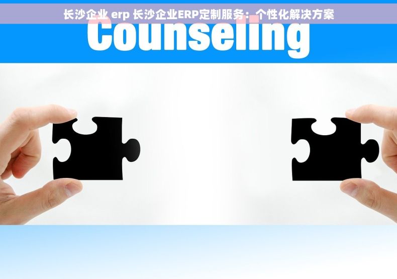 长沙企业 erp 长沙企业ERP定制服务：个性化解决方案