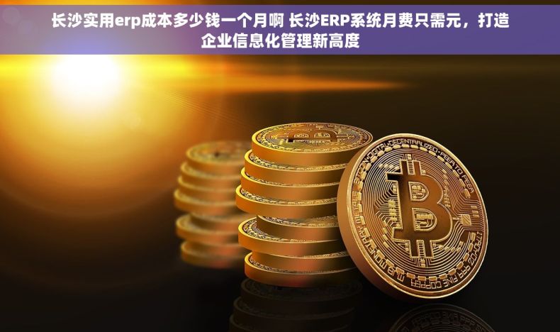 长沙实用erp成本多少钱一个月啊 长沙ERP系统月费只需元，打造企业信息化管理新高度