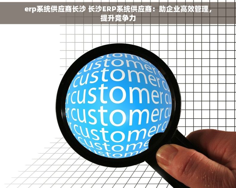 erp系统供应商长沙 长沙ERP系统供应商：助企业高效管理，提升竞争力